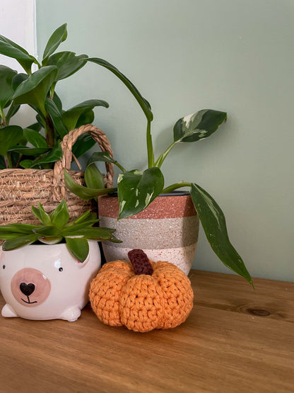 Crochet Pumpkin