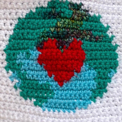 Mini Earth Day Wall Hanging Crochet Pattern